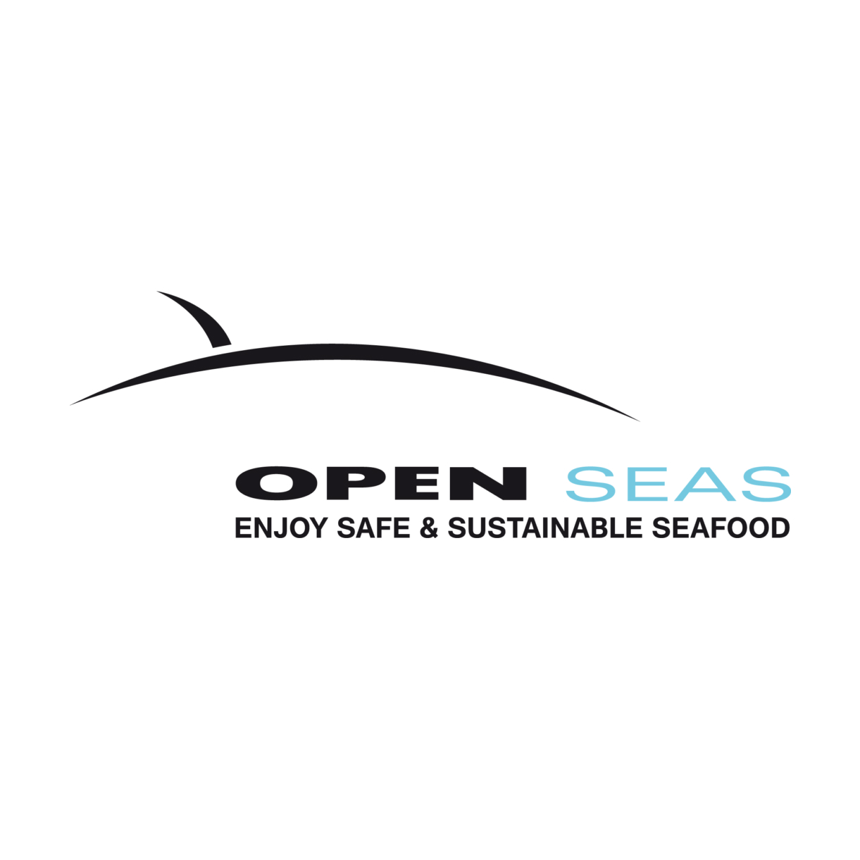Open Seas